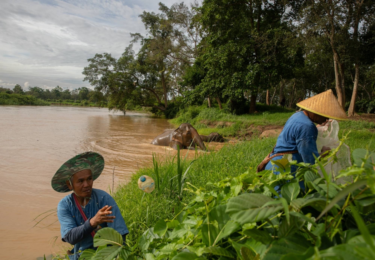 The mighty Mekong River’s growing plastic problem