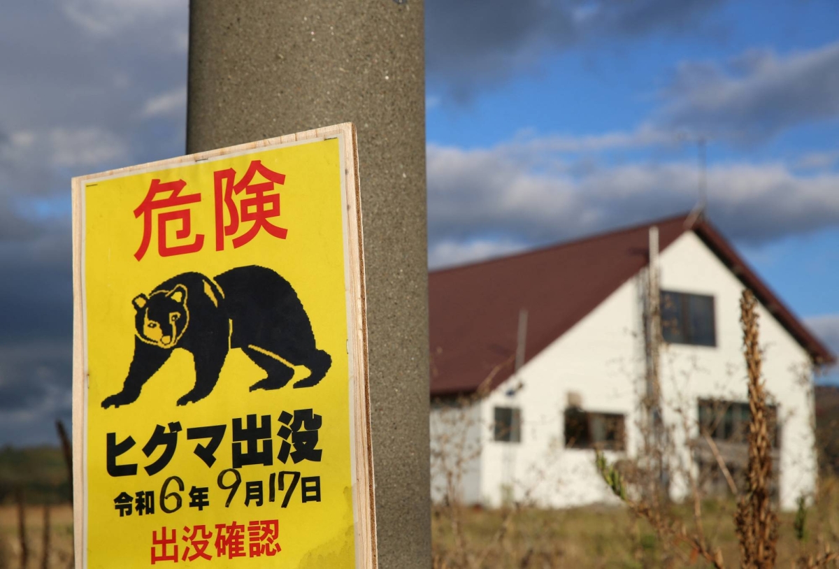Hokkaido 2024: Looking back on Rapidus, bears and shinkansen