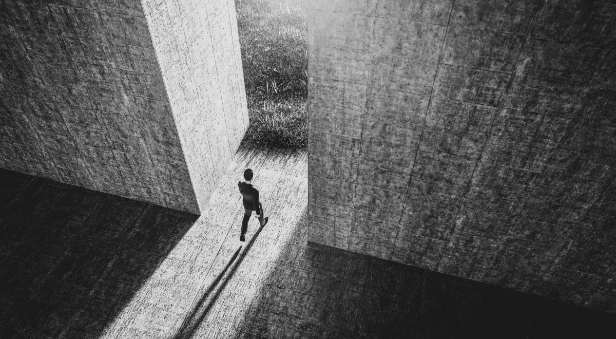 Jay Rubin takes us back to Haruki Murakami’s world