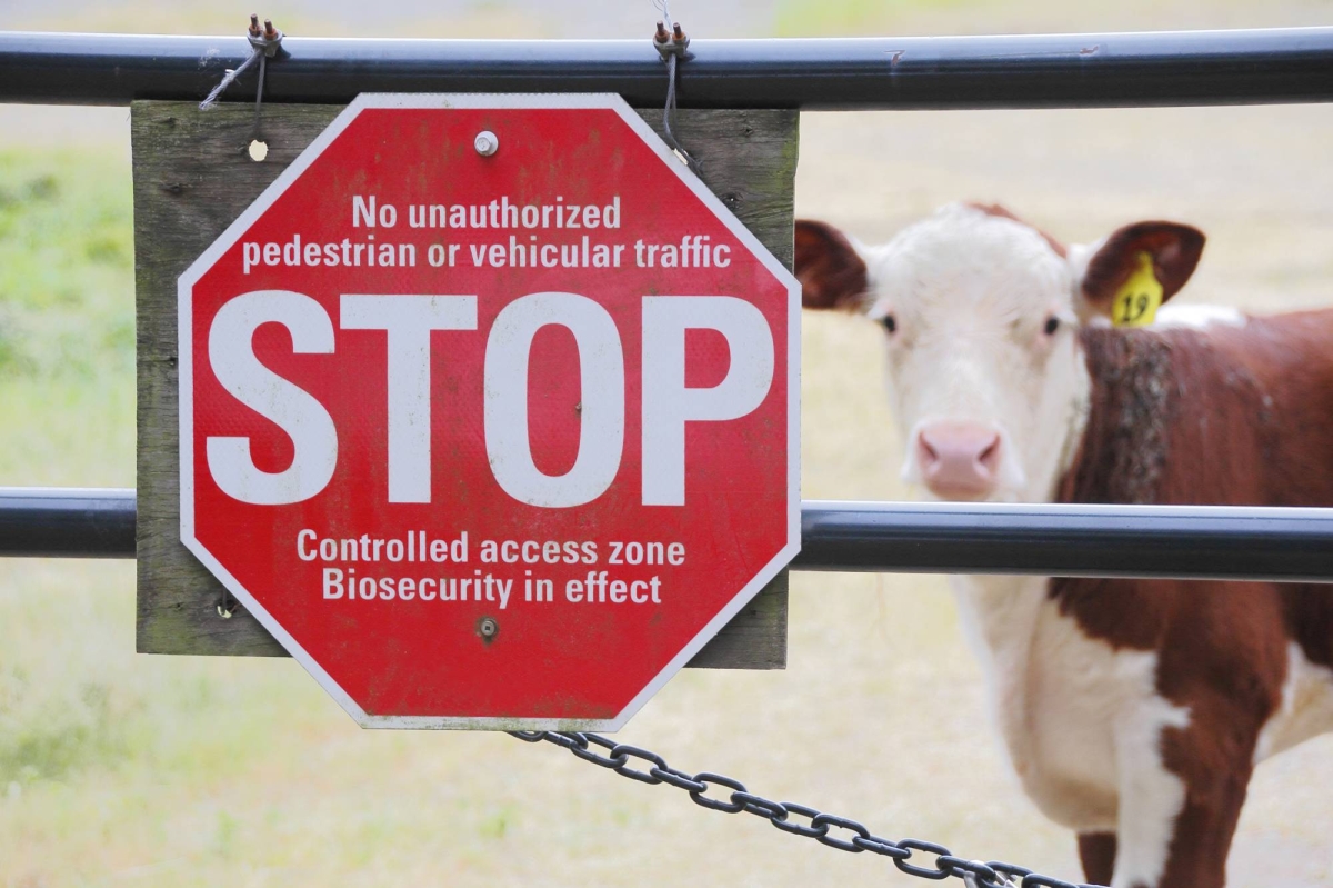 Another pandemic is inevitable, and the U.S. isn’t ready