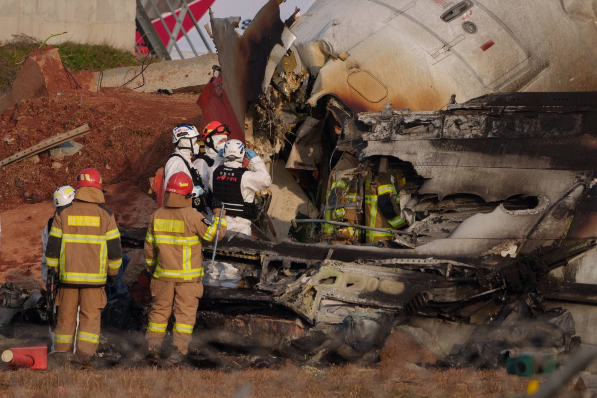 South Korea air crash that killed 179 poses bird-strike mystery
