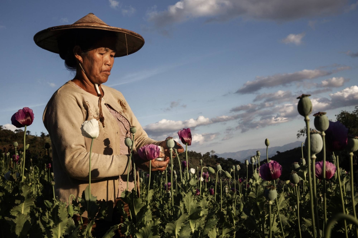 Drugs, scams and sin: Myanmar’s war has made it the global crime capital