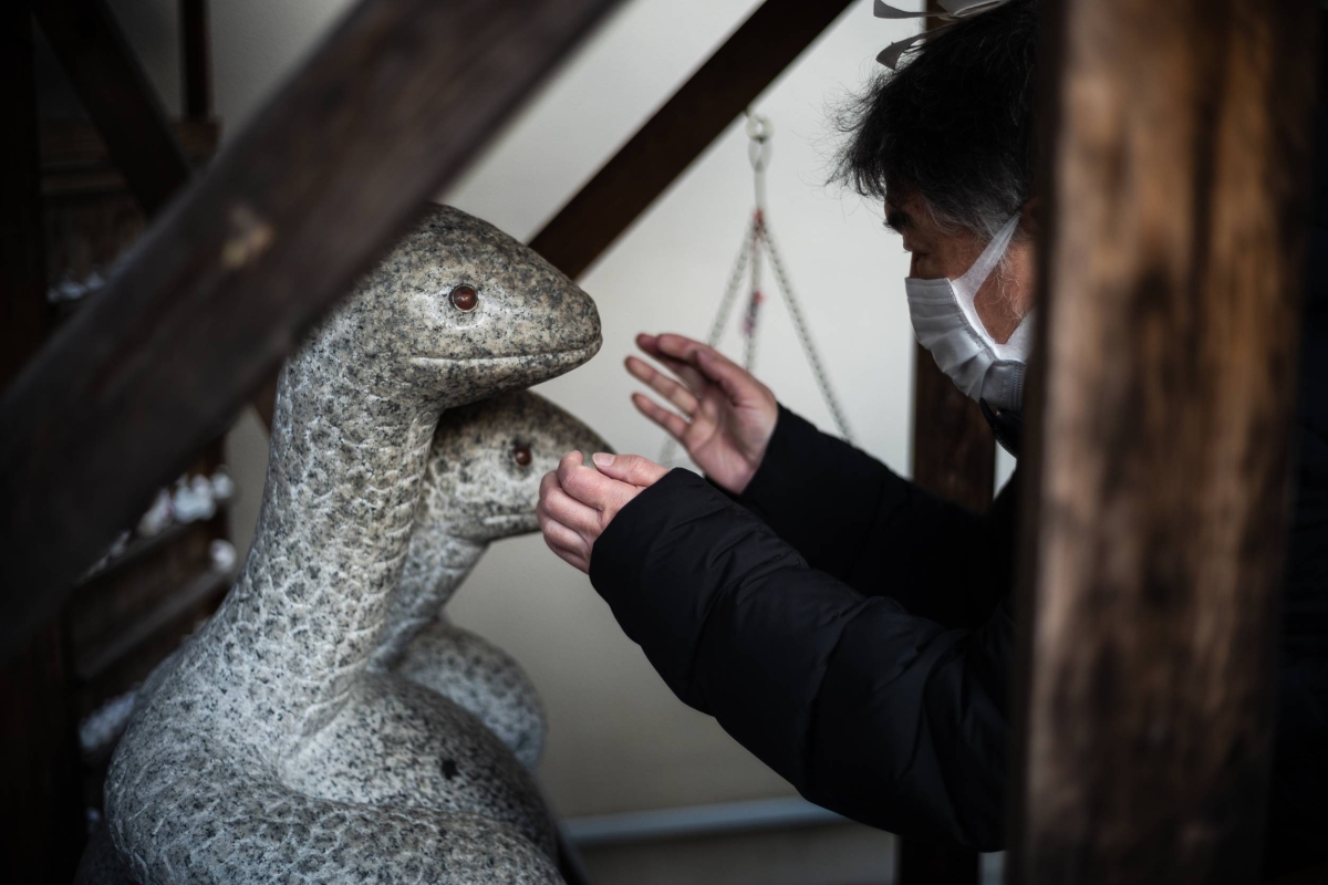 Shed your skin and reinvent yourself in the Year of the Snake