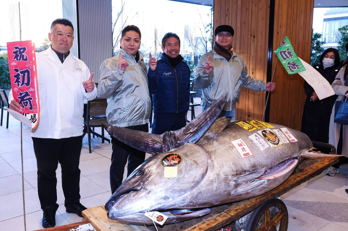 Bluefin tuna fetches ¥207 million at Toyosu first auction of the year