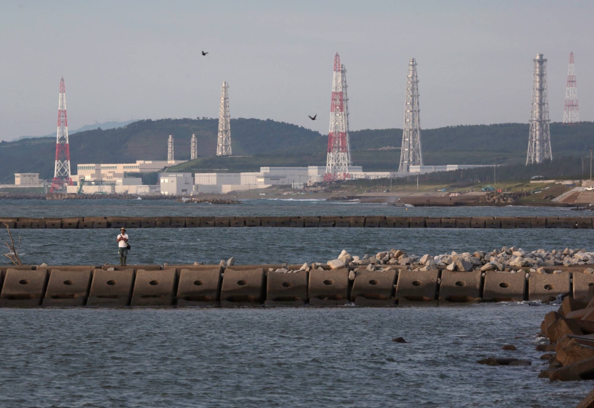 Robust new nuclear target for Japan is shrouded in uncertainty