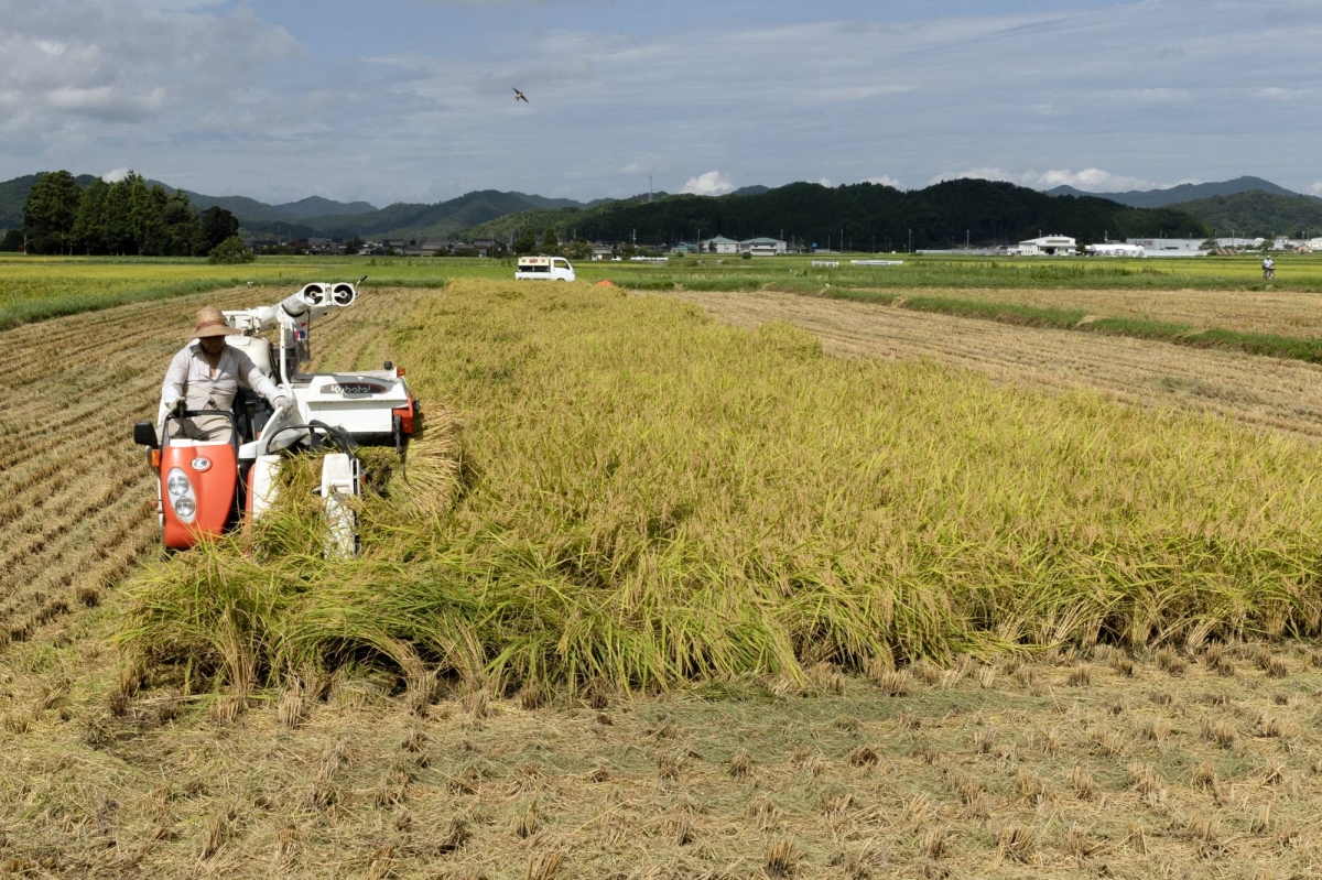 Japan farm ministry aims to dispatch corporate workers to rural areas