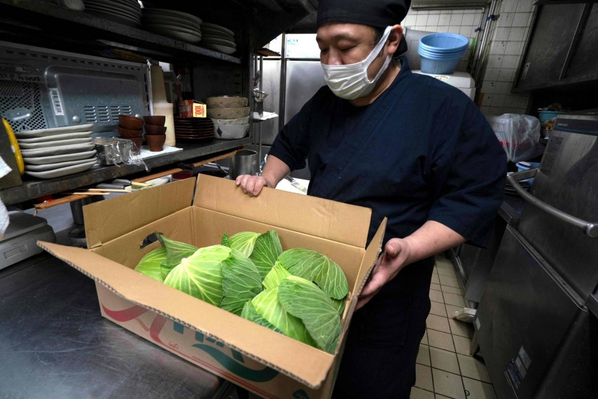 Climate change cooks up Japanese ‘cabbage shock’