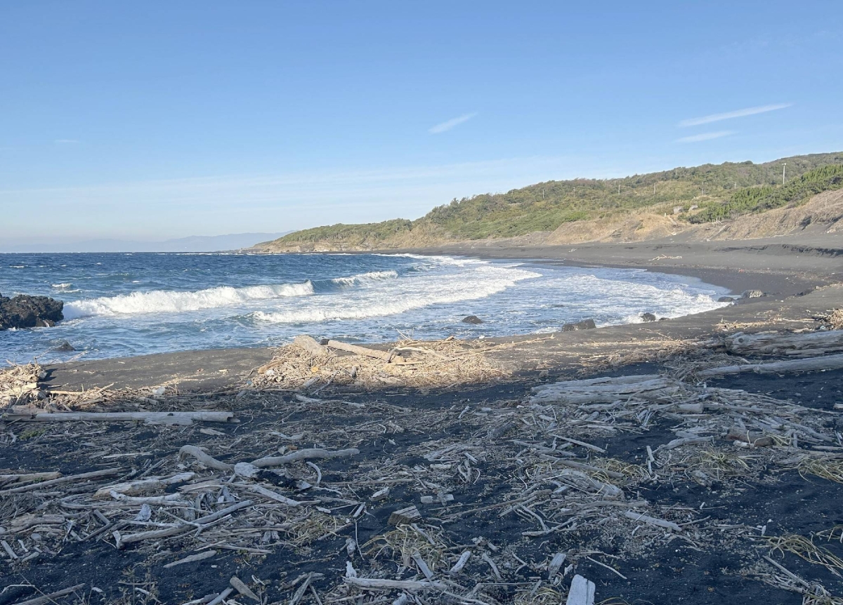 Suspect says woman found dead on remote Tokyo island killed herself