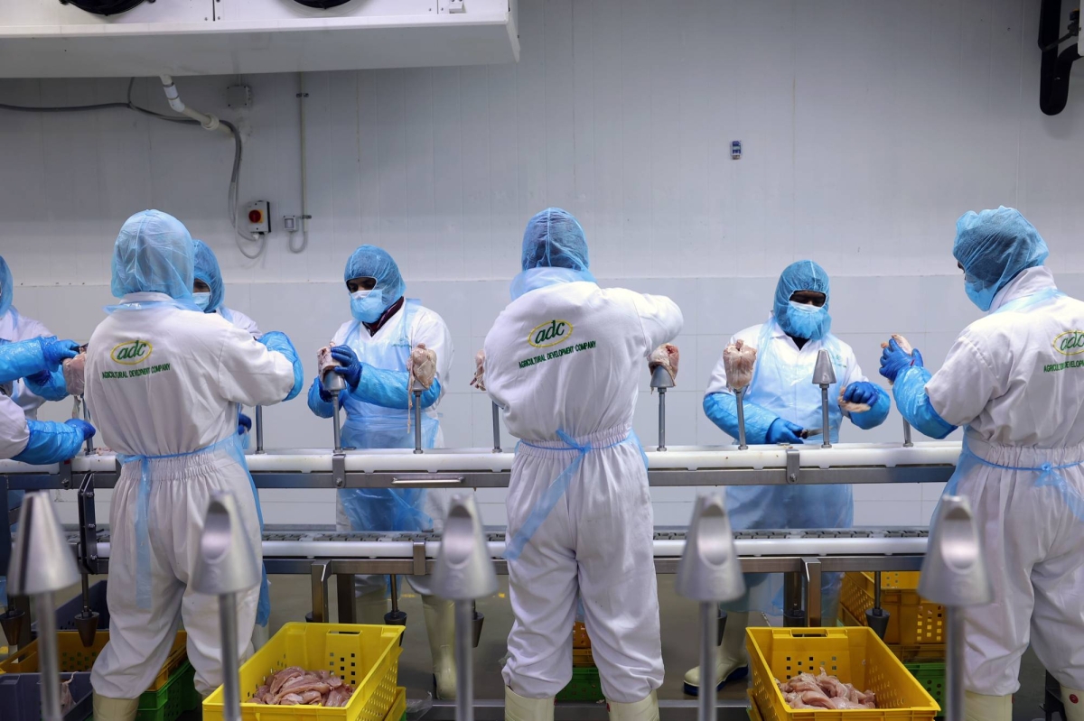 Chickens hatch across the Saudi desert in kingdom’s pivot from oil