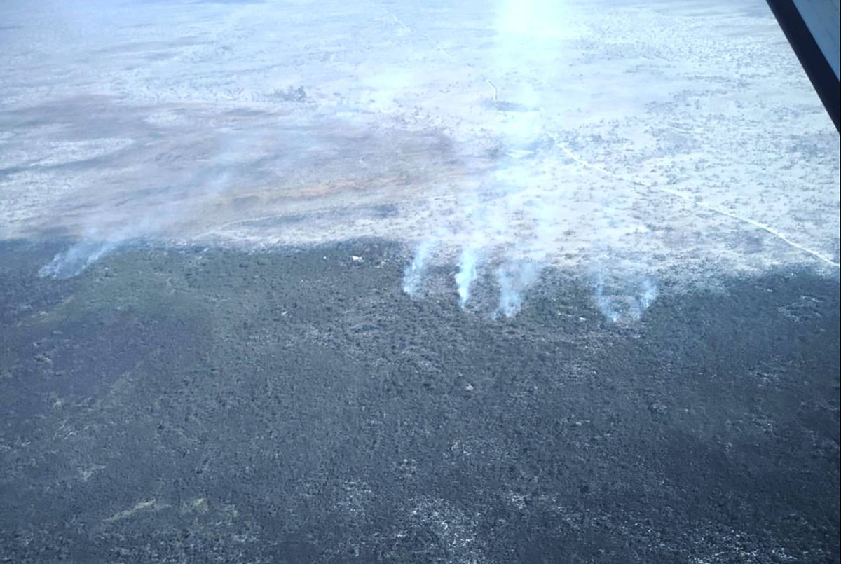 Fast-moving fires torch national parks in southeast Australia