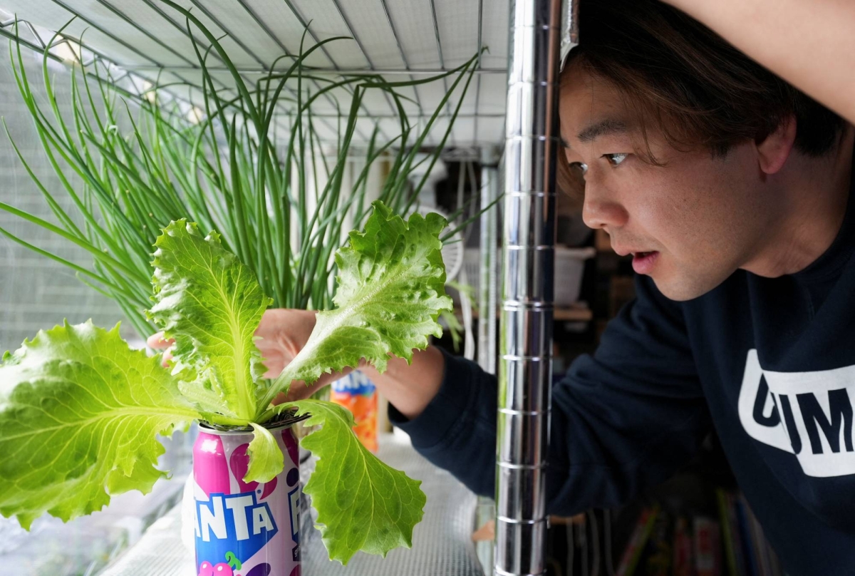 Japanese look for creative ways to fight soaring food prices