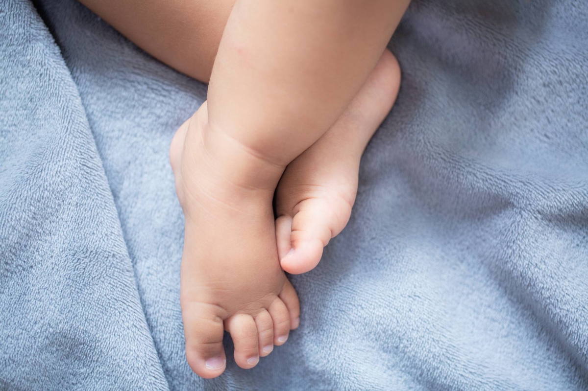 Assisted reproductive tech bill submitted to Upper House