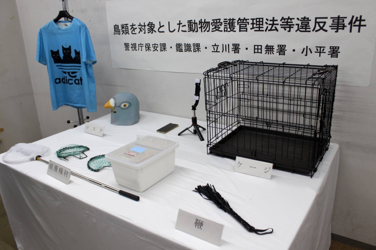 Kawasaki taxi driver rearrested on suspicion of killing pigeon