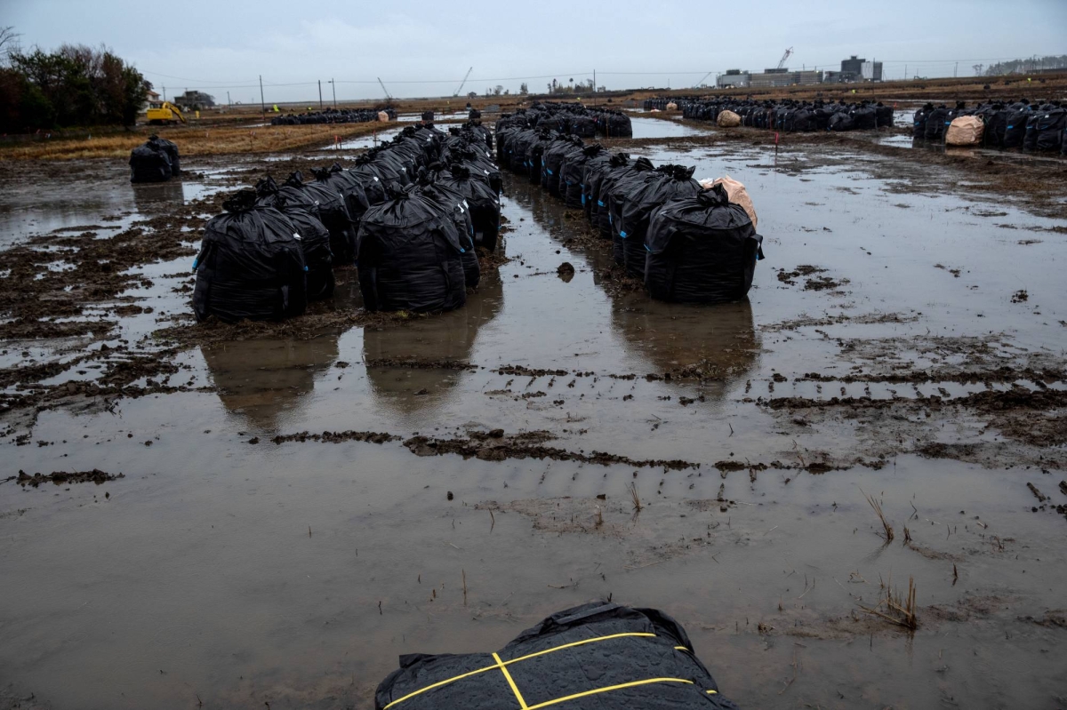 Japan to pick final disposal sites for Fukushima soil around 2030