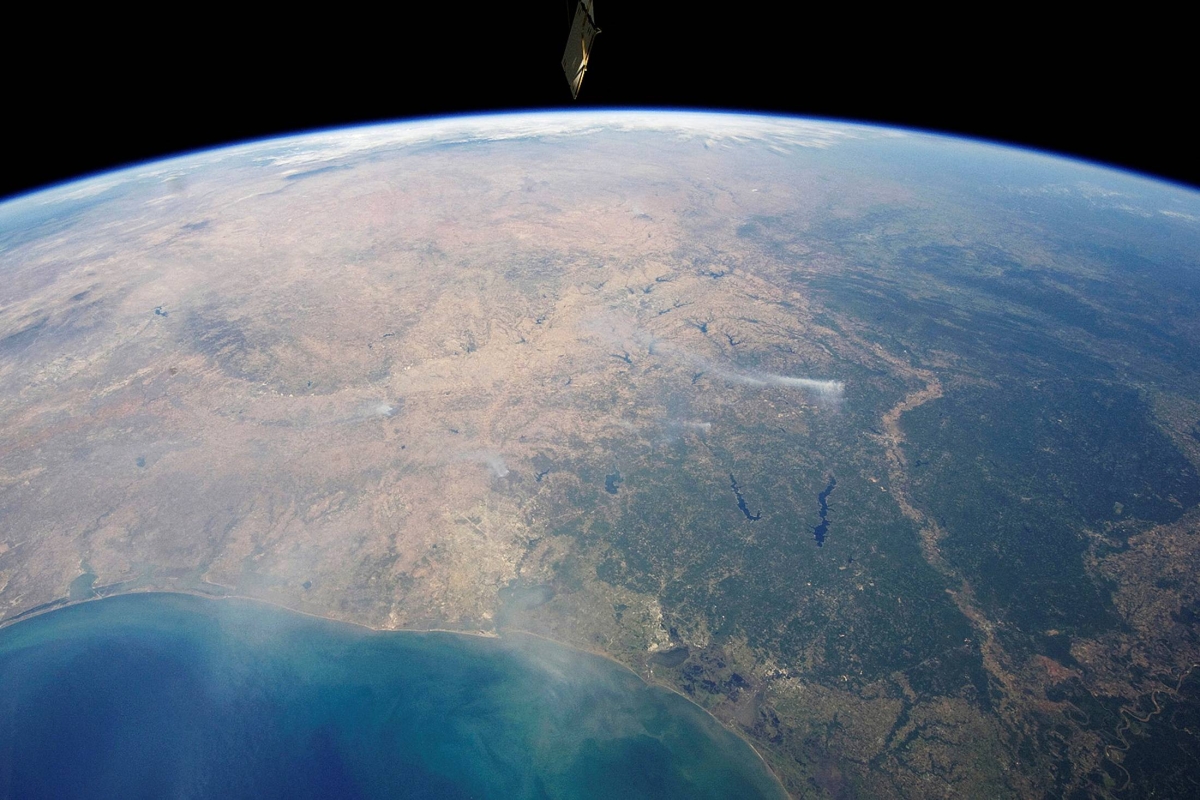 Was the emergence of intelligent life on Earth just a fluke? Some scientists think not.