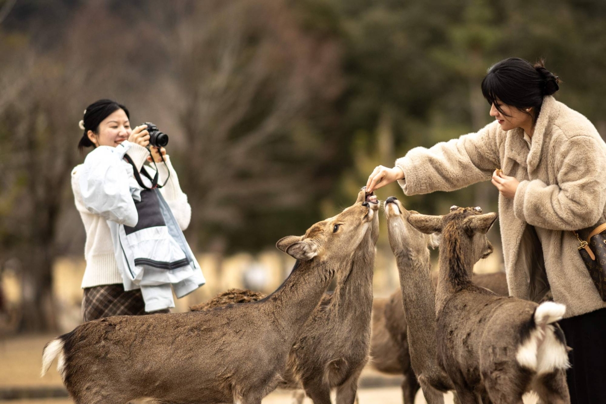 Monthly number of visitors to Japan hits record high in January
