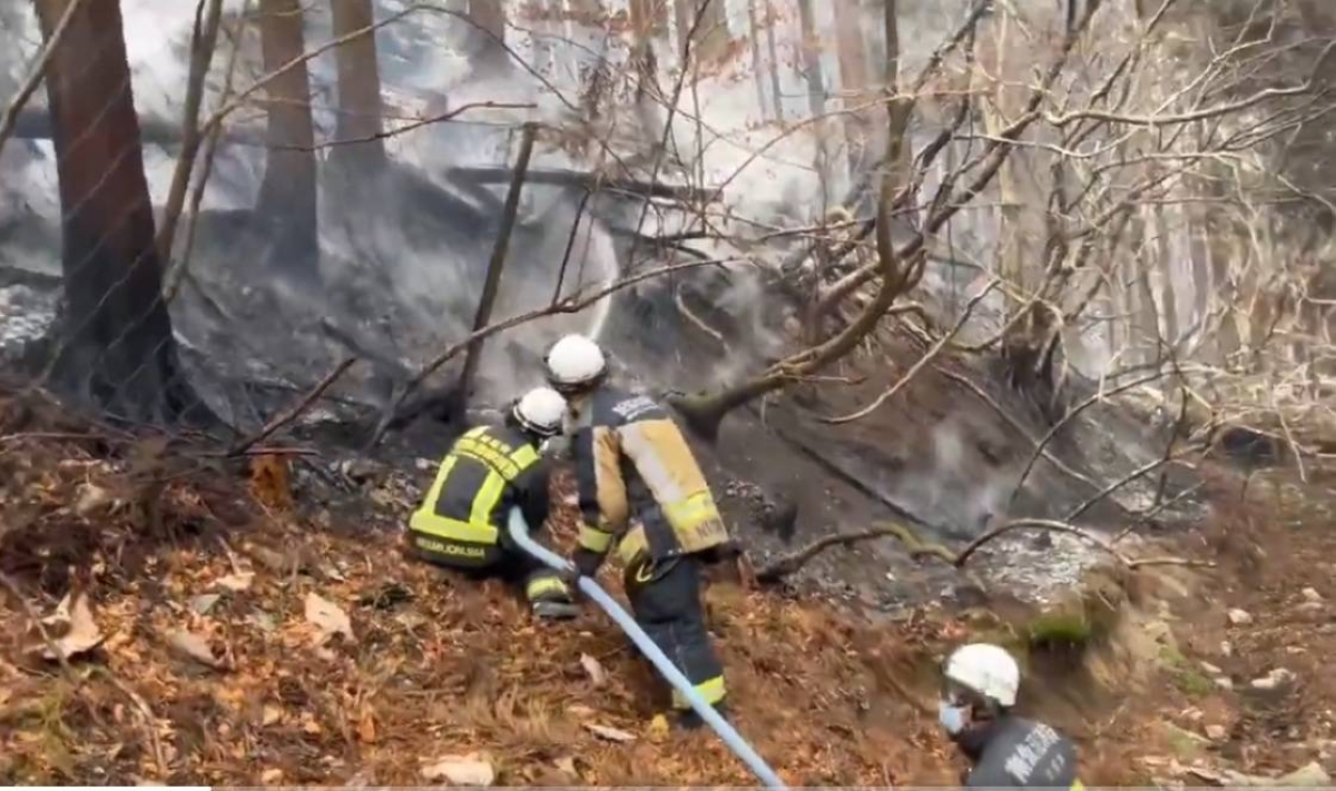 Why the latest Iwate wildfire is so difficult to extinguish