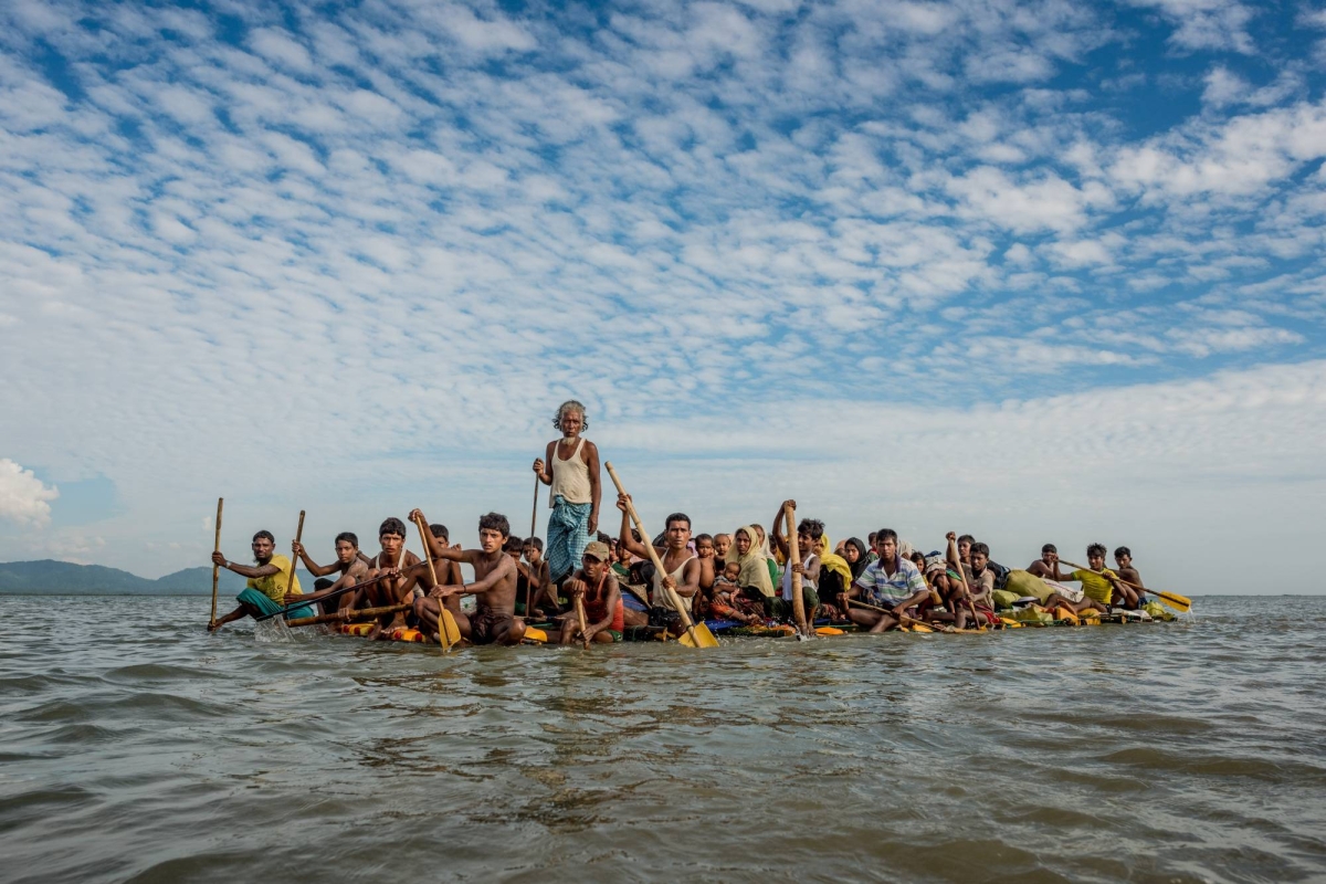 Rohingya refugee food aid to be halved from next month: U.N.